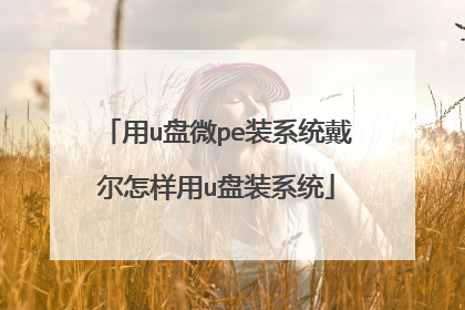 用u盘微pe装系统戴尔怎样用u盘装系统