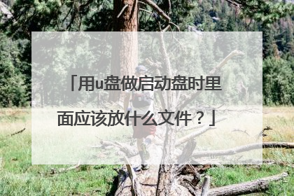 用u盘做启动盘时里面应该放什么文件?
