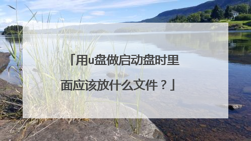 用u盘做启动盘时里面应该放什么文件？