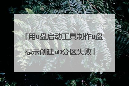 用u盘启动工具制作u盘提示创建uD分区失败