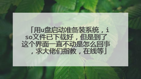 用u盘启动准备装系统,iso文件已下载好,但是到了这个界面一直不动是怎么回事,求大佬们指教,在线等