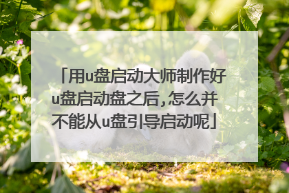 用u盘启动大师制作好u盘启动盘之后,怎么并不能从u盘引导启动呢