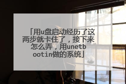 用u盘启动经历了这两步就卡住了，接下来怎么弄，用unetbootin做的系统
