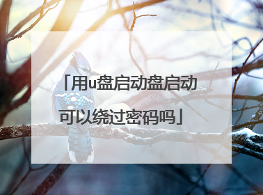 用u盘启动盘启动可以绕过密码吗