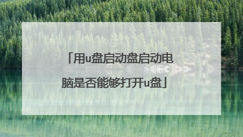 用u盘启动盘启动电脑是否能够打开u盘