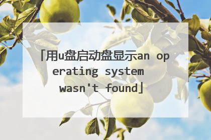 用u盘启动盘显示an operating system wasn't found