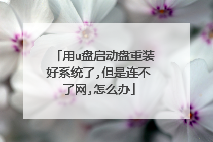 用u盘启动盘重装好系统了,但是连不了网,怎么办