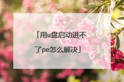 用u盘启动进不了pe怎么解决