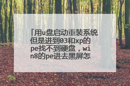 用u盘启动重装系统但是进到03和xp的pe找不到硬盘,win8的pe进去黑屏怎么办啊,求助。