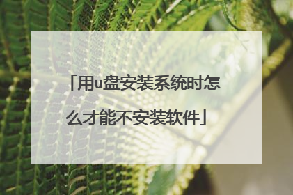 用u盘安装系统时怎么才能不安装软件