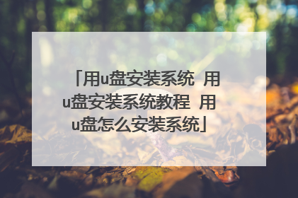 用u盘安装系统 用u盘安装系统教程 用u盘怎么安装系统