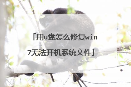 用u盘怎么修复win7无法开机系统文件