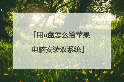 用u盘怎么给苹果电脑安装双系统