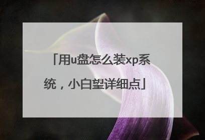 用u盘怎么装xp系统，小白望详细点