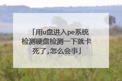 用u盘进入pe系统检测硬盘检测一下就卡死了,怎么会事