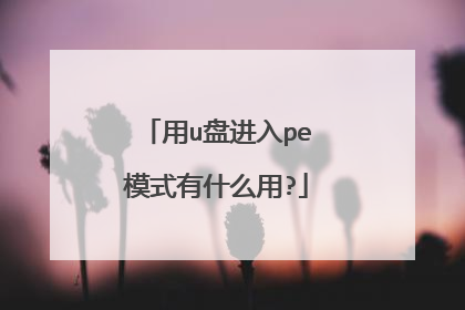 用u盘进入pe模式有什么用?