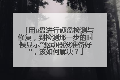 用u盘进行硬盘检测与修复,到检测那一步的时候显示“驱动器没准备好”,该如何解决?