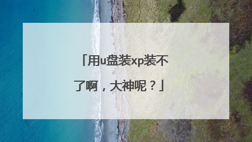 用u盘装xp装不了啊,大神呢?