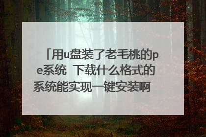 用u盘装了老毛桃的pe系统 下载什么格式的系统能实现一键安装啊 以前下的都是iso的 还点用虚拟光驱