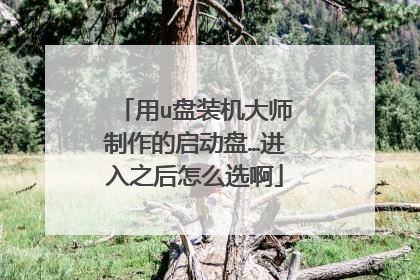 用u盘装机大师制作的启动盘…进入之后怎么选啊