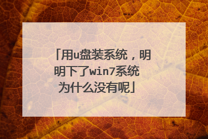 用u盘装系统,明明下了win7系统为什么没有呢