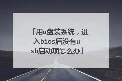 用u盘装系统,进入bios后没有usb启动项怎么办