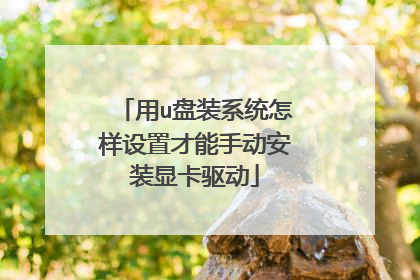 用u盘装系统怎样设置才能手动安装显卡驱动