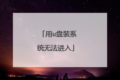用u盘装系统无法进入