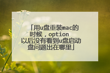用u盘重装mac的时候,option 以后没有看到u盘启动盘问题出在哪里