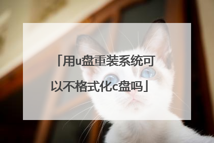用u盘重装系统可以不格式化c盘吗
