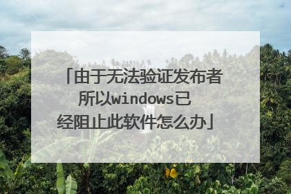 由于无法验证发布者所以windows已经阻止此软件怎么办