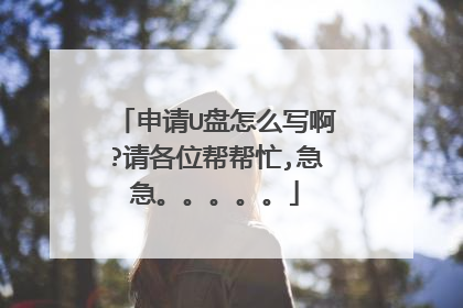 申请U盘怎么写啊?请各位帮帮忙,急急。。。。。