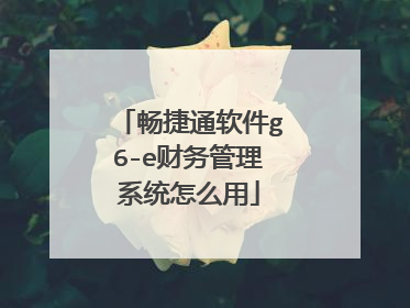 畅捷通软件g6-e财务管理系统怎么用