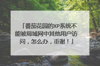 番茄花园的XP系统不能被局域网中其他用户访问,怎么办,重谢!
