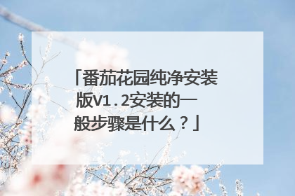 番茄花园纯净安装版V1.2安装的一般步骤是什么?
