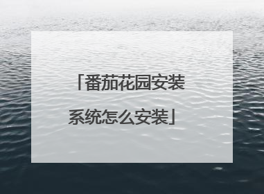 番茄花园安装系统怎么安装