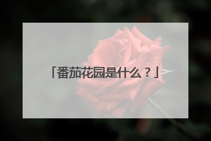 番茄花园是什么?