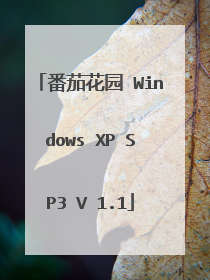 番茄花园 Windows XP SP3 V 1.1