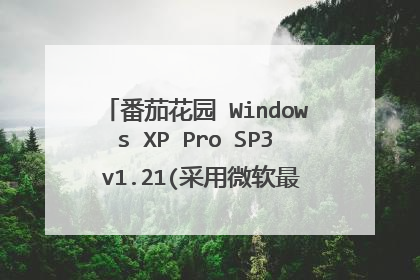 番茄花园 Windows XP Pro SP3 v1.21(采用微软最新SP3原版制作)绝版终结版如何安装?