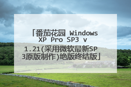 番茄花园 Windows XP Pro SP3 v1.21(采用微软最新SP3原版制作)绝版终结版