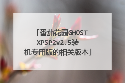 番茄花园GHOSTXPSP2v2.5装机专用版的相关版本