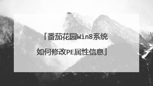 番茄花园Win8系统如何修改PE属性信息