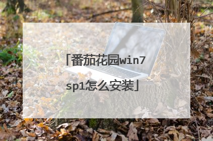 番茄花园win7 sp1怎么安装