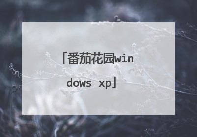 番茄花园windows xp