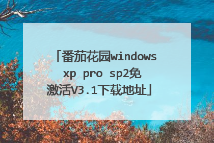 番茄花园windows xp pro sp2免激活V3.1下载地址