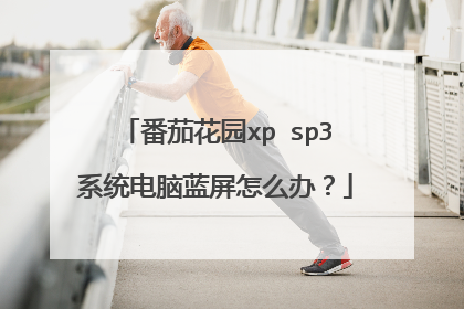 番茄花园xp sp3系统电脑蓝屏怎么办?