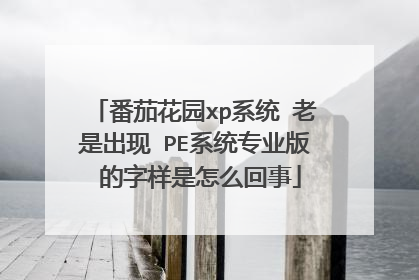 番茄花园xp系统 老是出现 PE系统专业版 的字样是怎么回事