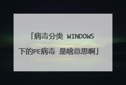 病毒分类 WINDOWS下的PE病毒 是啥意思啊