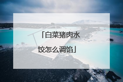 白菜猪肉水饺怎么调馅