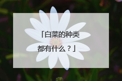 白菜的种类都有什么?